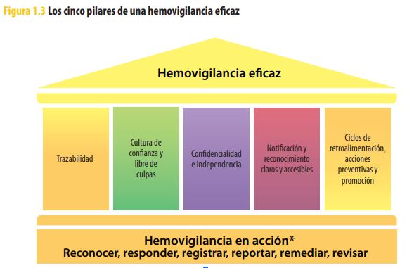 Hemovigilancia-1